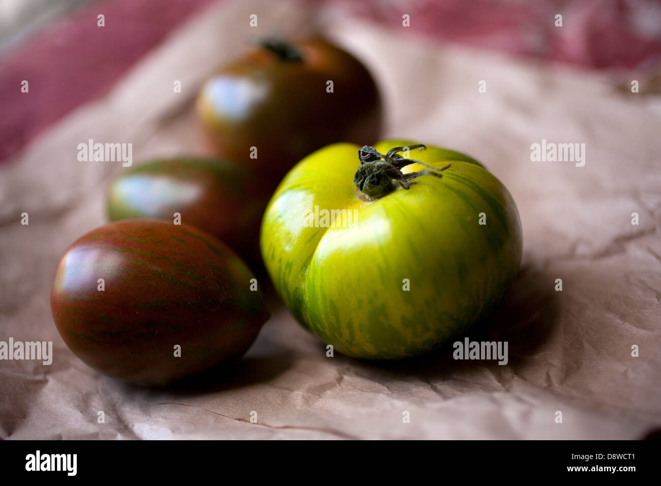 Green Zebra tomato and black tomatoes Stock Photo