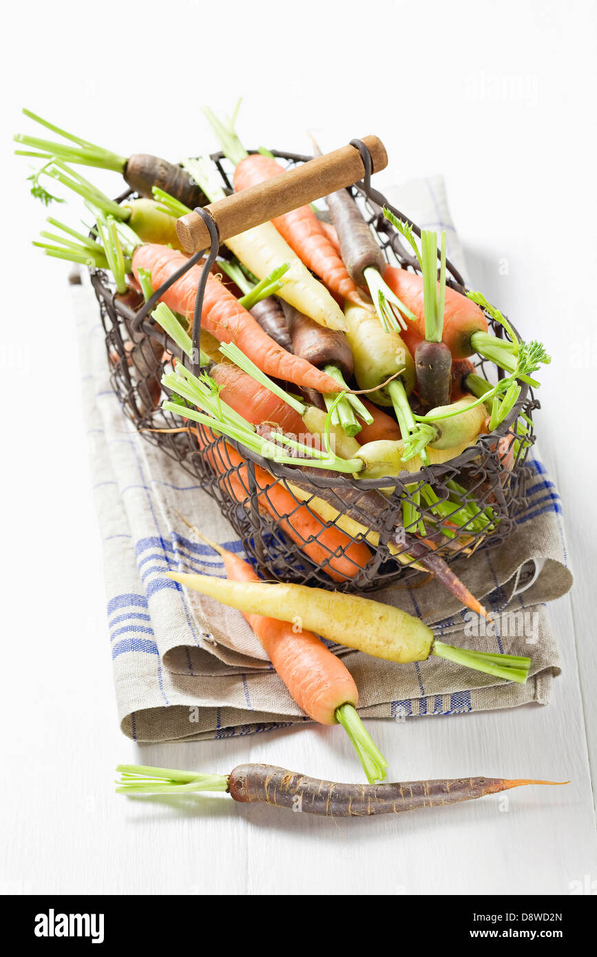 Basket of assorted carrots Stock Photo