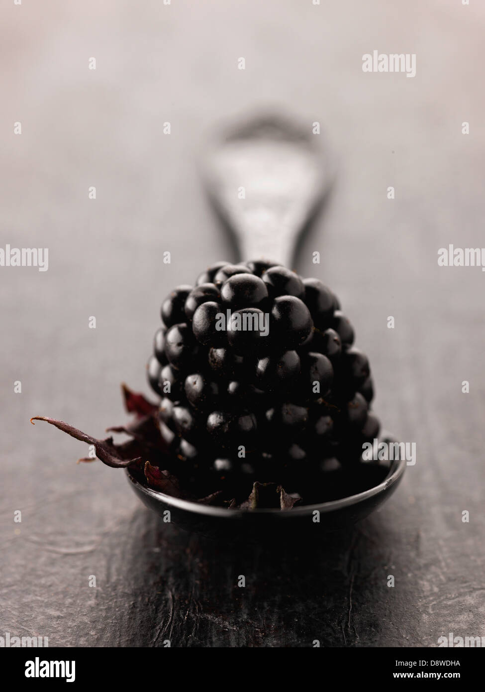Blackberry in a teaspoon Stock Photo