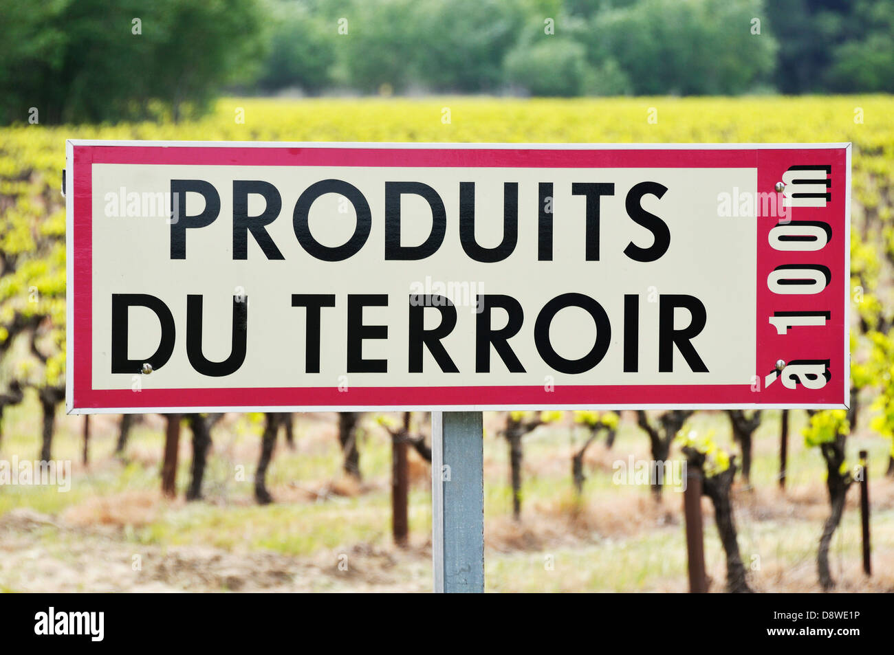 Sign with the inscription 'Produits du terroir' in the countryside with vines Stock Photo