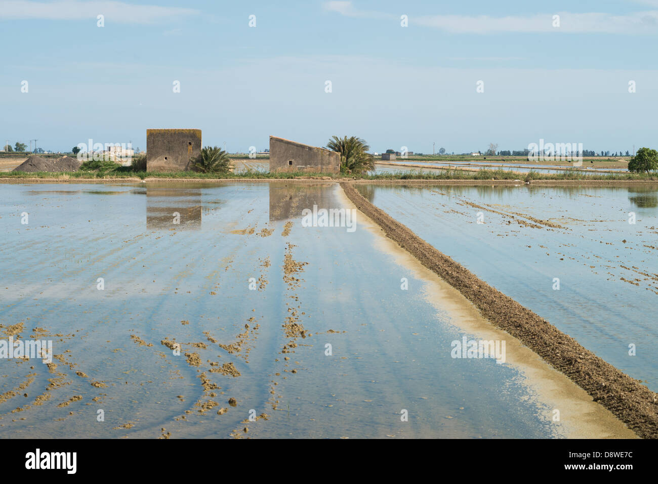 Spain Rice Fields Agriculture fields farmland ebro spain hi-res stock photography and ...