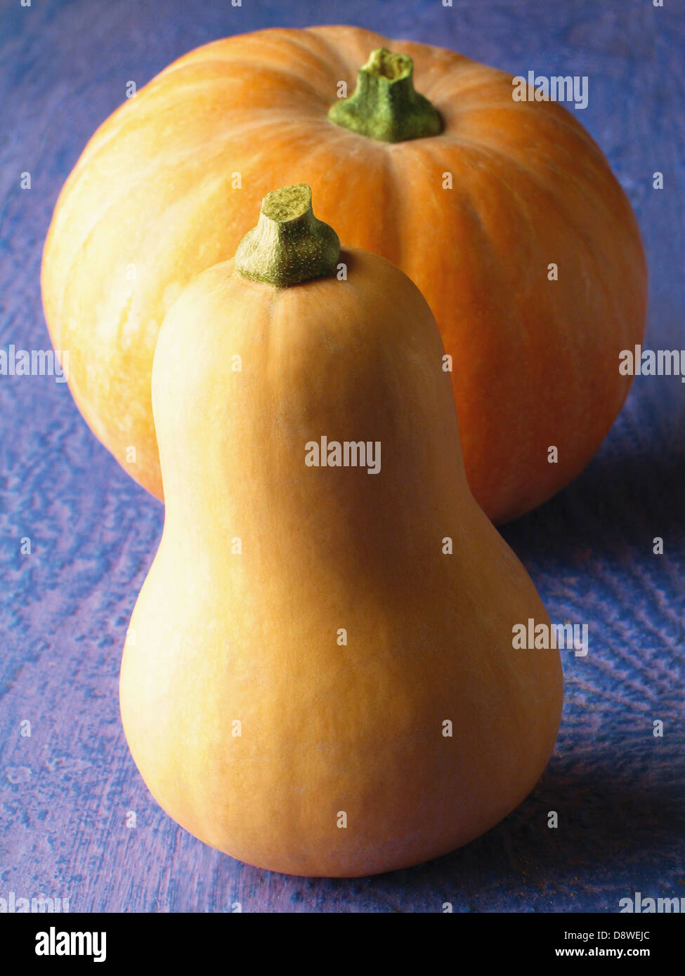 Pumpkin and butternut squash Stock Photo Alamy