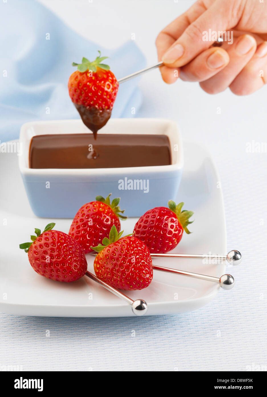 Dipping strawberries into melted chocolate Stock Photo