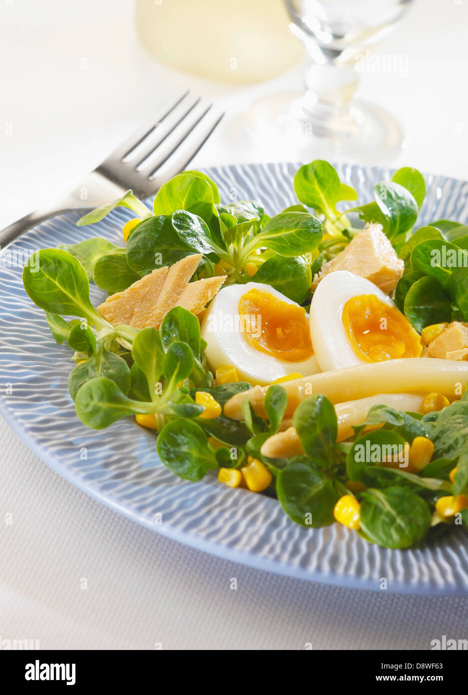 Mixed salad with white asparagus,tuna and eggs Stock Photo
