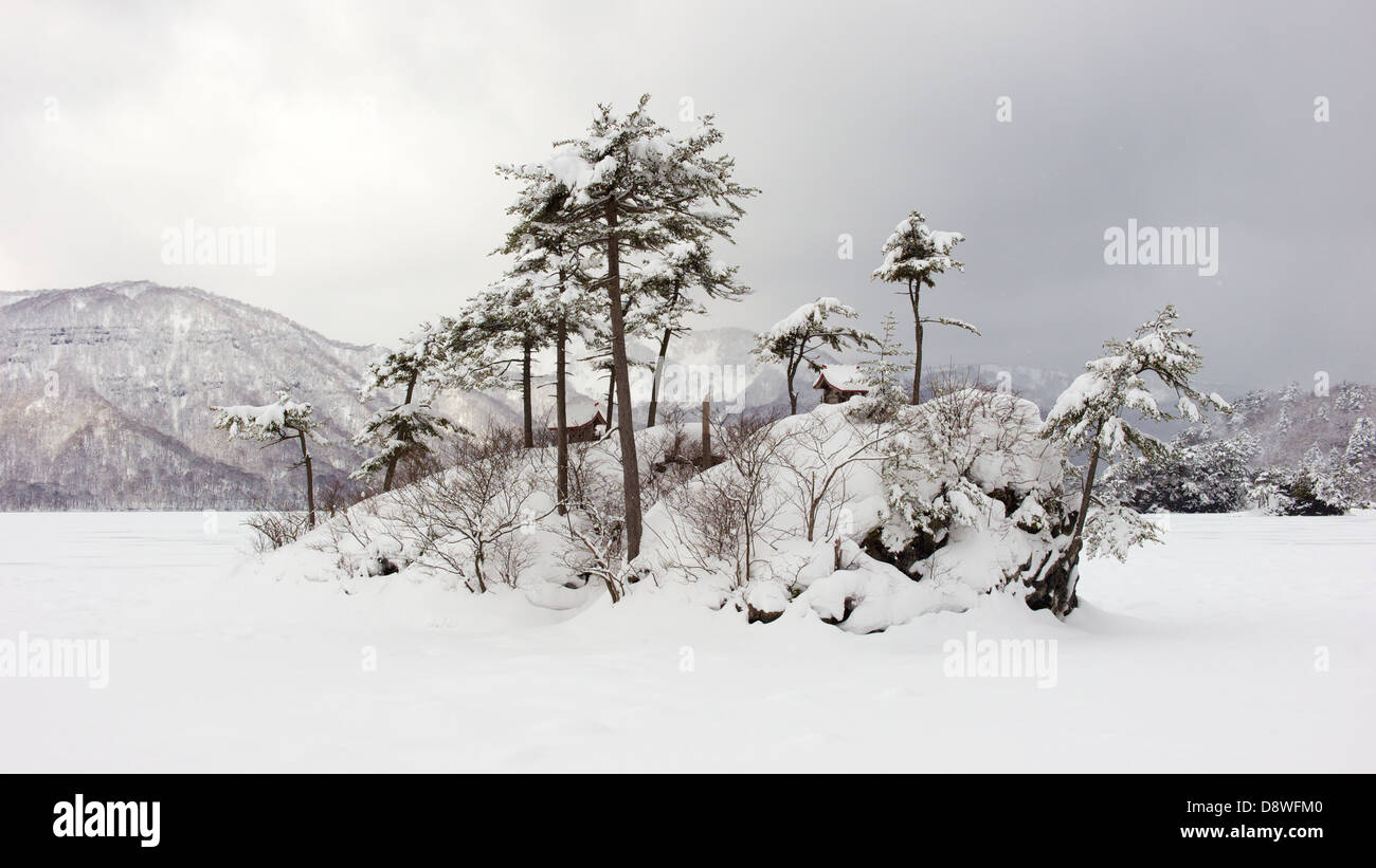 Snow covered islet at Lake Towada. What is normally water is totally frozen and covered in snow Stock Photo