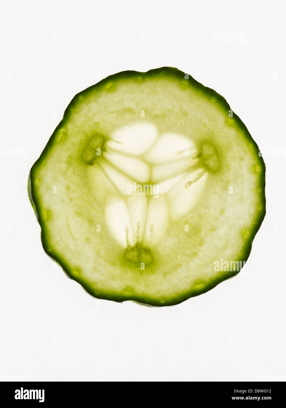 Close up of green cucumber slice on white background, studio shot Stock Photo