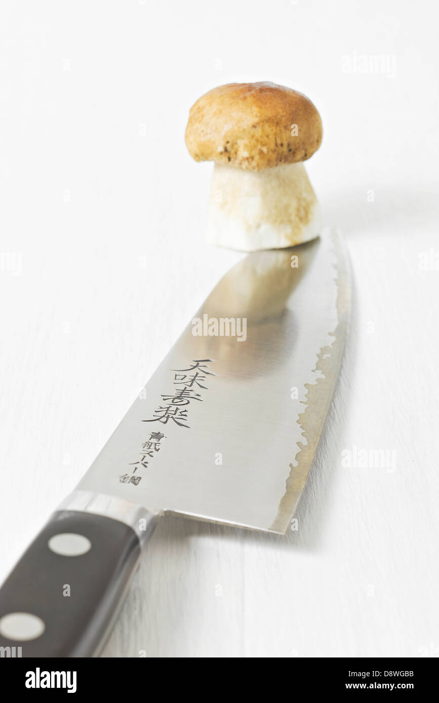 Cep on the end of a Japanese knife Stock Photo