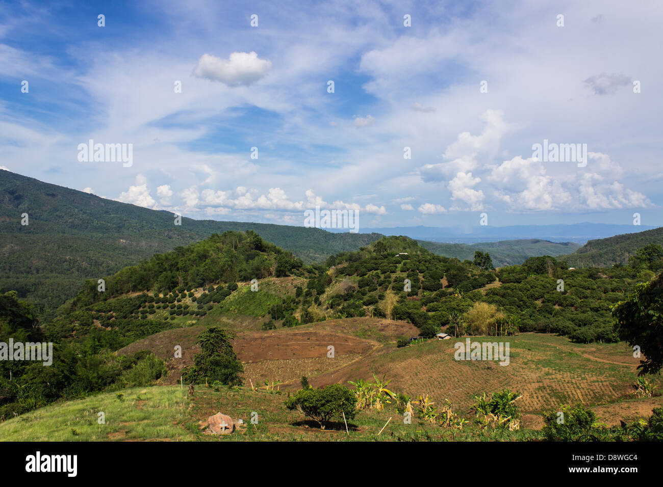 hut and farm Hmong on the mountain in Chiangmai province, North of Thailand Stock Photo