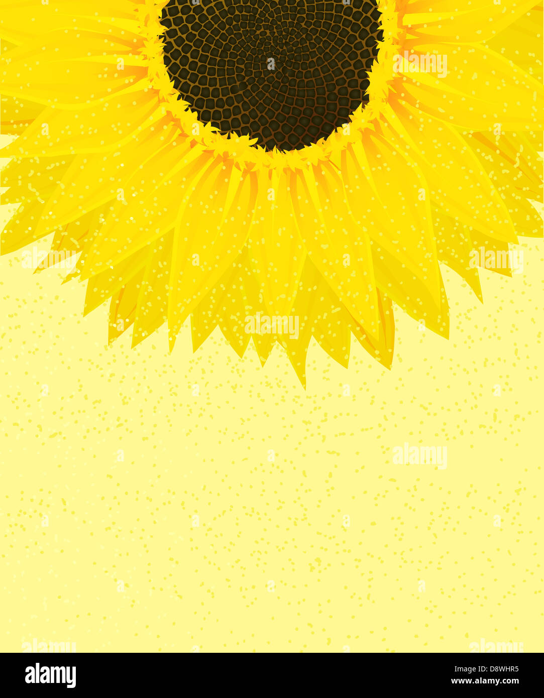 Decorative sunflower on a sunny background with copy space Stock Photo ...