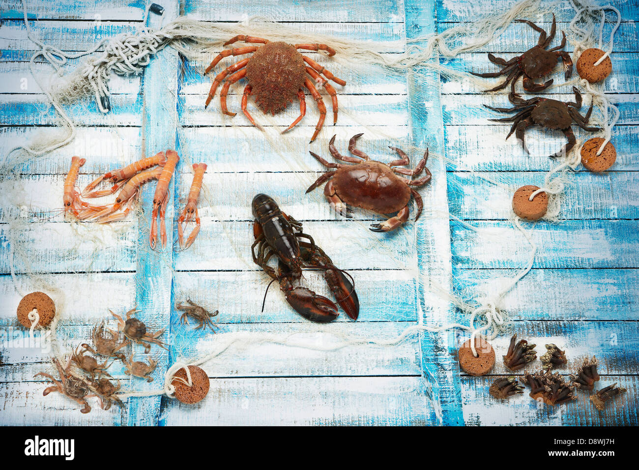 Shellfish composition Stock Photo