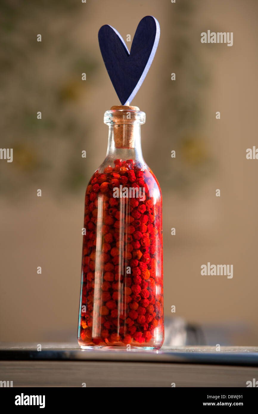 Juniper berry bottle hires stock photography and images Alamy