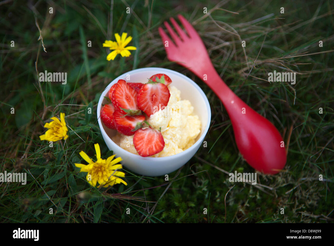 Dessert in bowl on grass Stock Photo