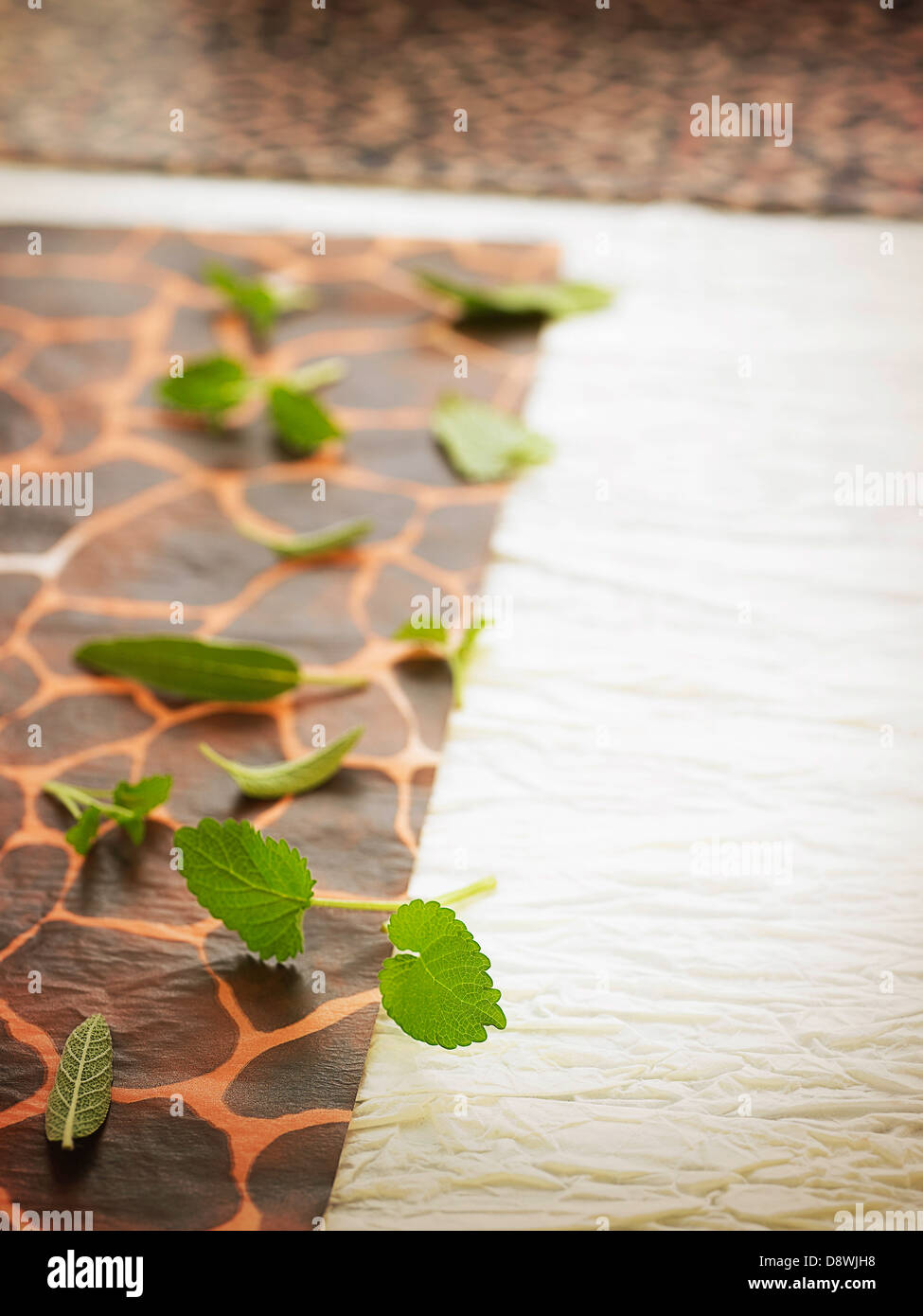Fresh herbs on a girafe-patterned tablecloth Stock Photo