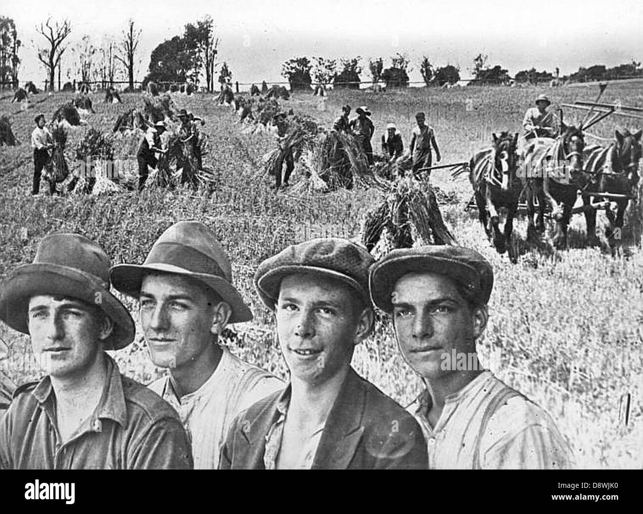 This photograph from the Scheyville Training Farm in Hawkesbury, New South Wales, depicts children and workers involved in farm training during the early 20th century. It reflects Australia's agricultural history and the role of training farms in education and labor. Stock Photo