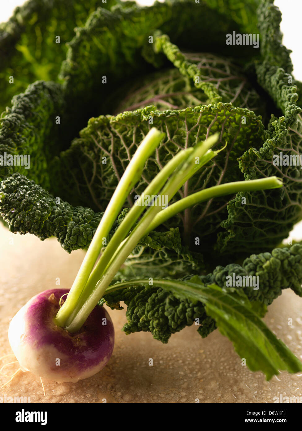 Turnip and cabbage Stock Photo Alamy