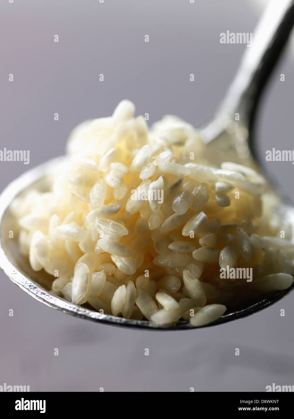 Arborio rice for risotto Stock Photo Alamy