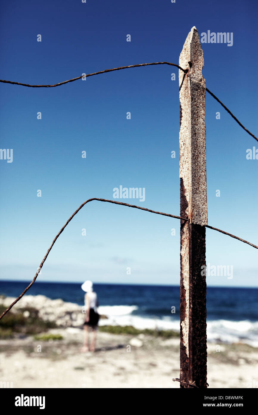 Fence on beach Stock Photo Alamy