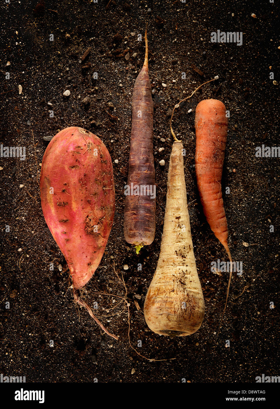 Old-fashioned vegetables Stock Photo