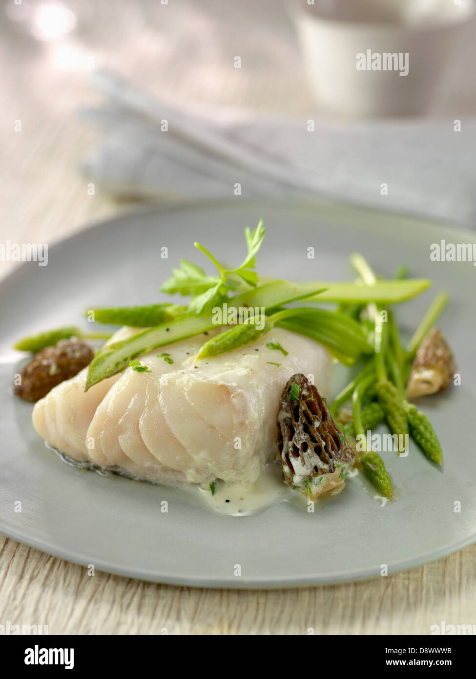 Piece of cod with morels and wild asparagus Stock Photo