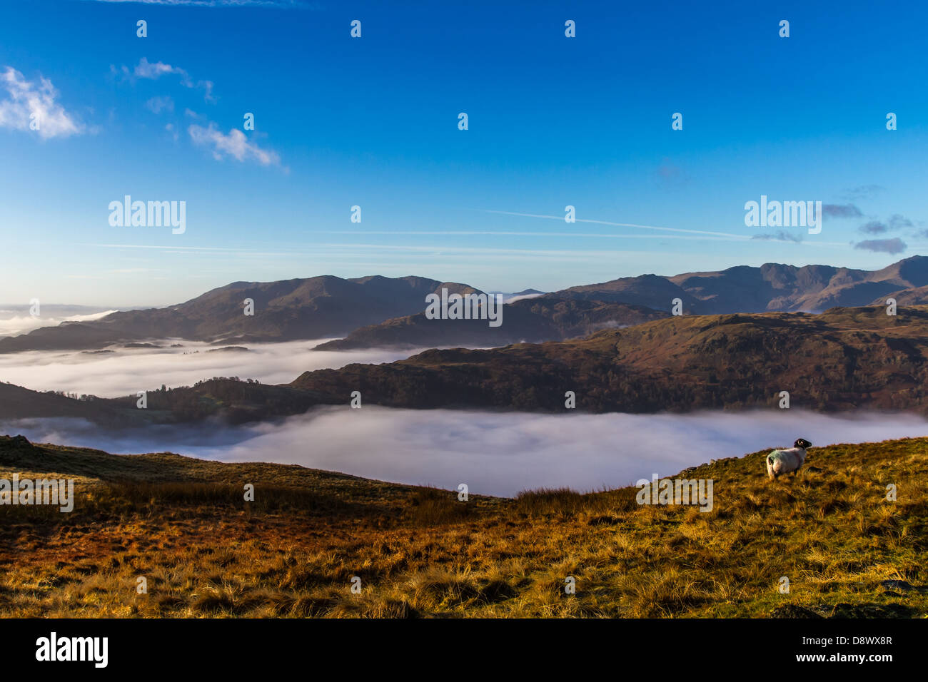 UK LANDSCAPE Dramatic cloud inversion on the Fairfield horseshoe in the ...