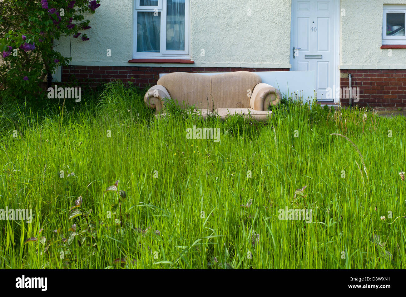 Abandoned sofa in overgrown garden Stock Photo Alamy