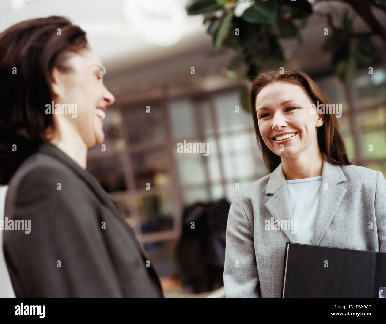 Two laughing business women conversing. Stock Photo