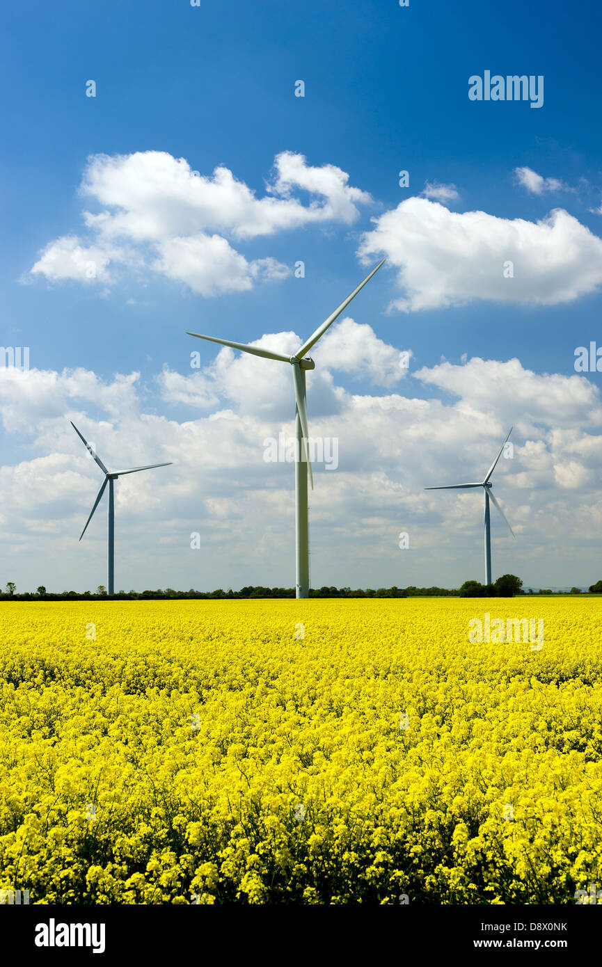 Renewable energy wind turbine farms in a field in Yorkshire showing yellow rapeseed in bloom taken against a blue sky with white clouds above. Stock Photo