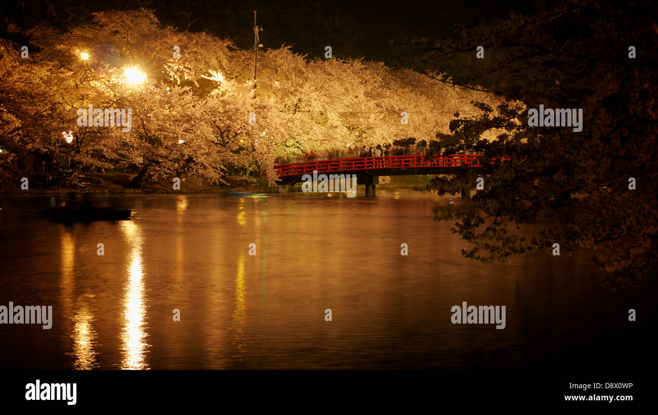 Full bloom sakura by the Hirosaki Castle Moat at Hirosaki Park at Night during the Hirosaki Cherry Blossom Festival Stock Photo