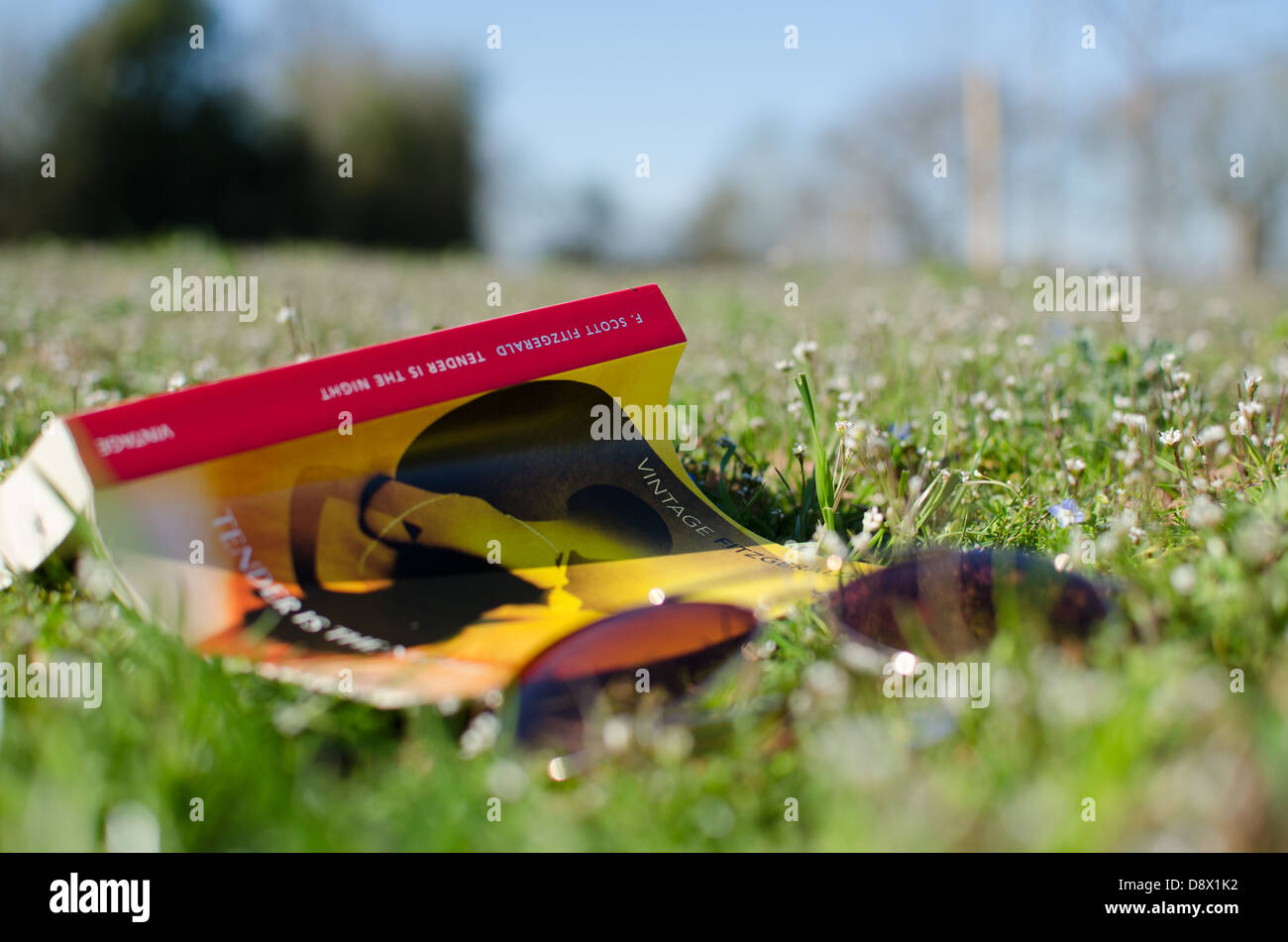 Picture of a classic book and shades in a meadow in summer Stock Photo