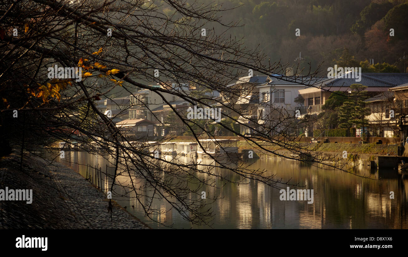 Branches hanging over Uji River on a cold quiet winter morning as the sun was raising. Stock Photo