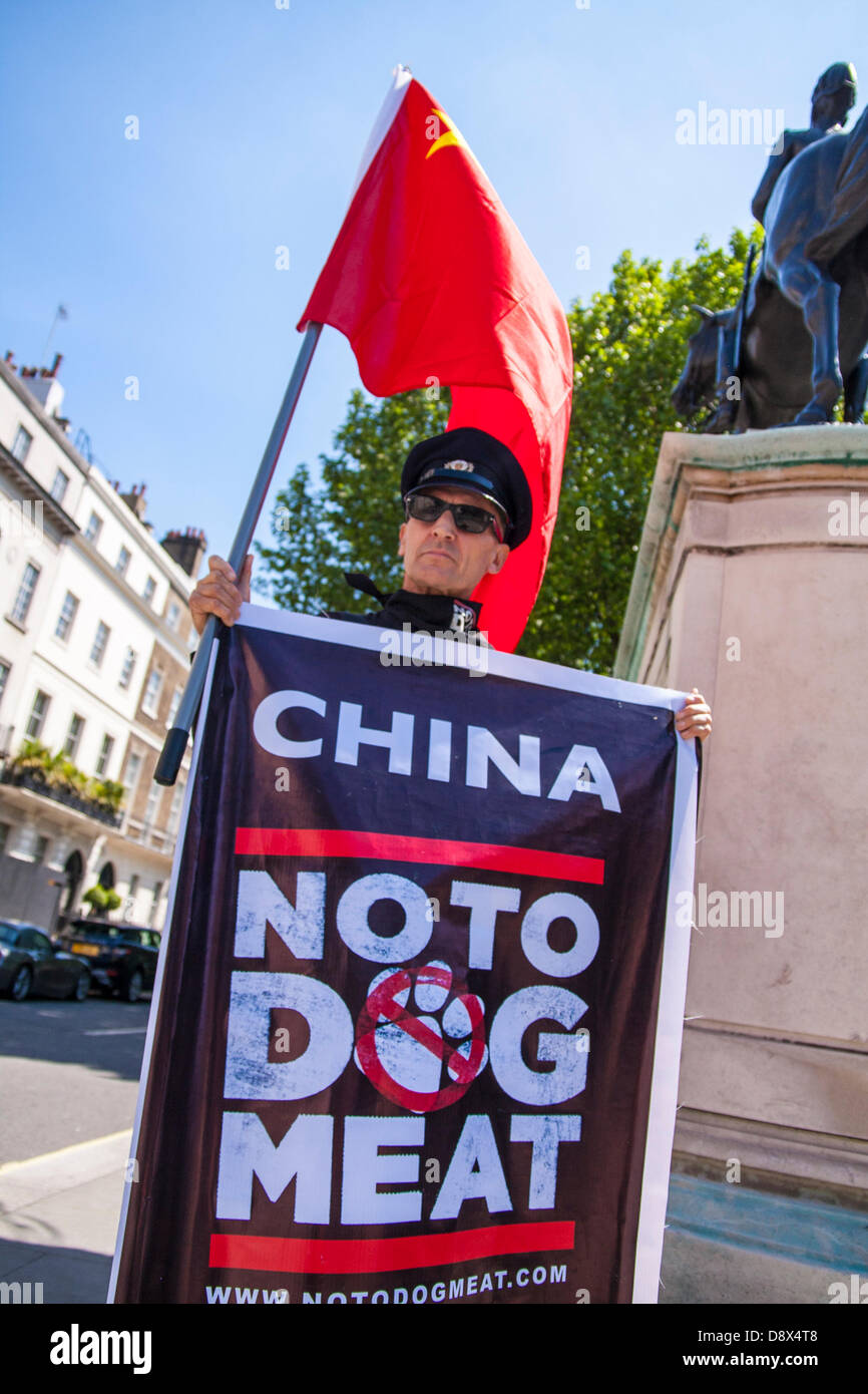 Dog meat trade cruelty hires stock photography and images Alamy