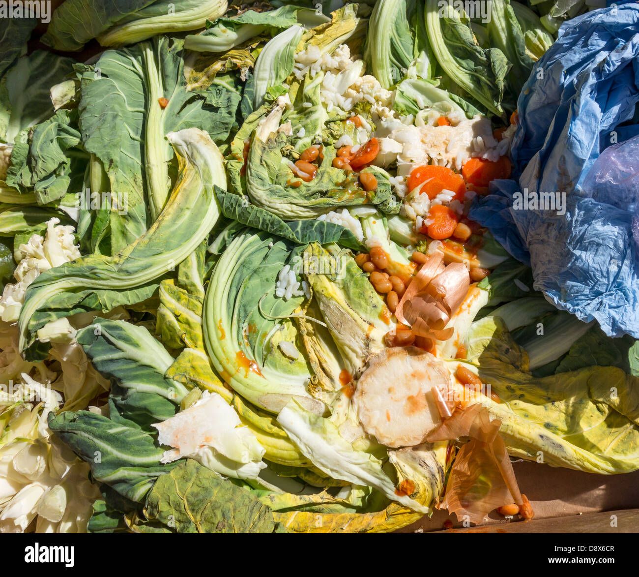 Rotting Vegetables Recycling Recycled Kitchen Waste Ready for Composting Stock Photo
