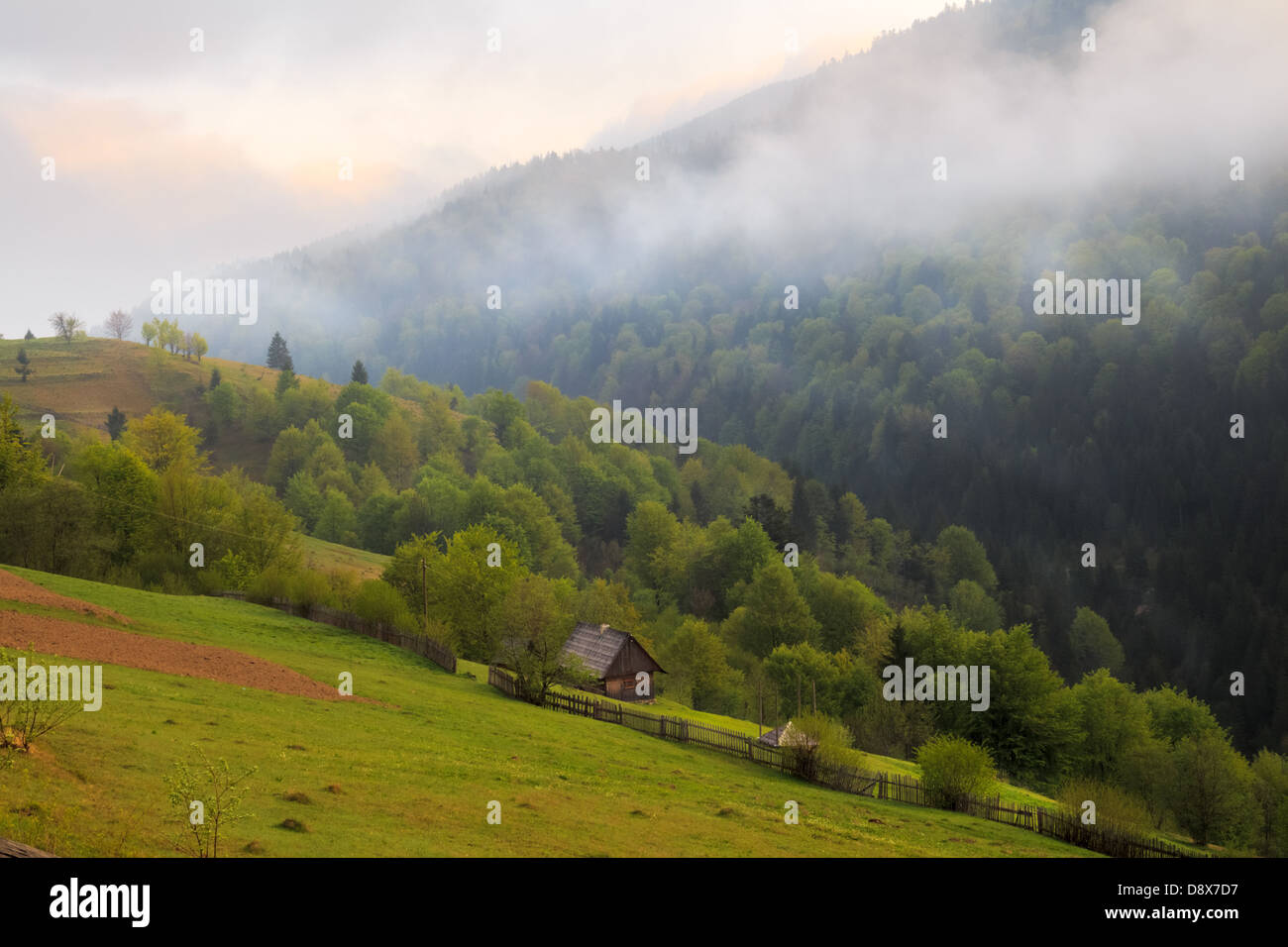 Spring cloudy morning rural landscape in the Mizhhiria, Carpathian mountains. Stock Photo