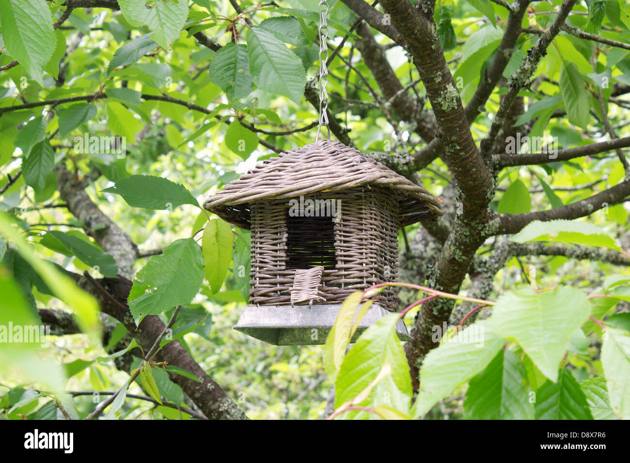 Birdhouse hang on the green tree in the garden Stock Photo Alamy