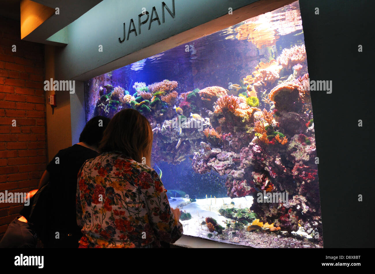 Dallas Aquarium, Texas, USA Stock Photo Alamy