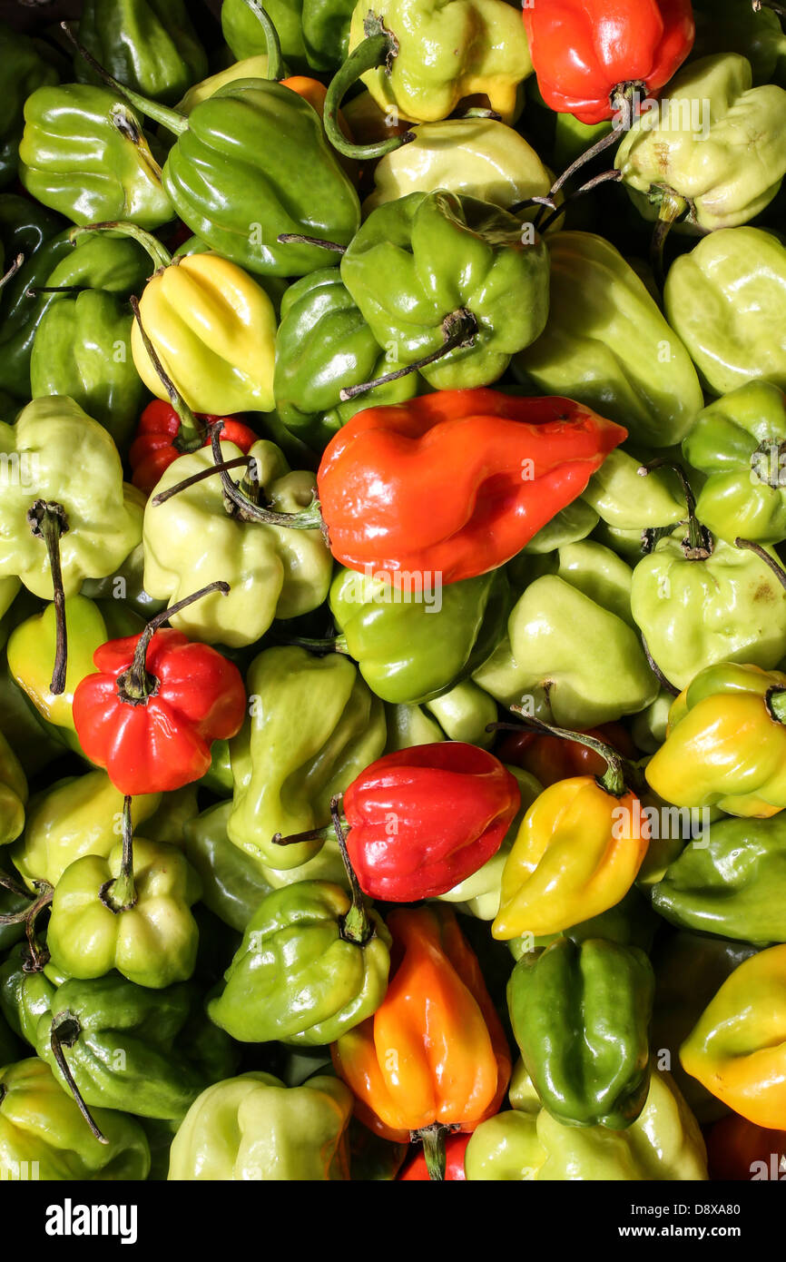 Hot peppers food hi-res stock photography and images - Alamy