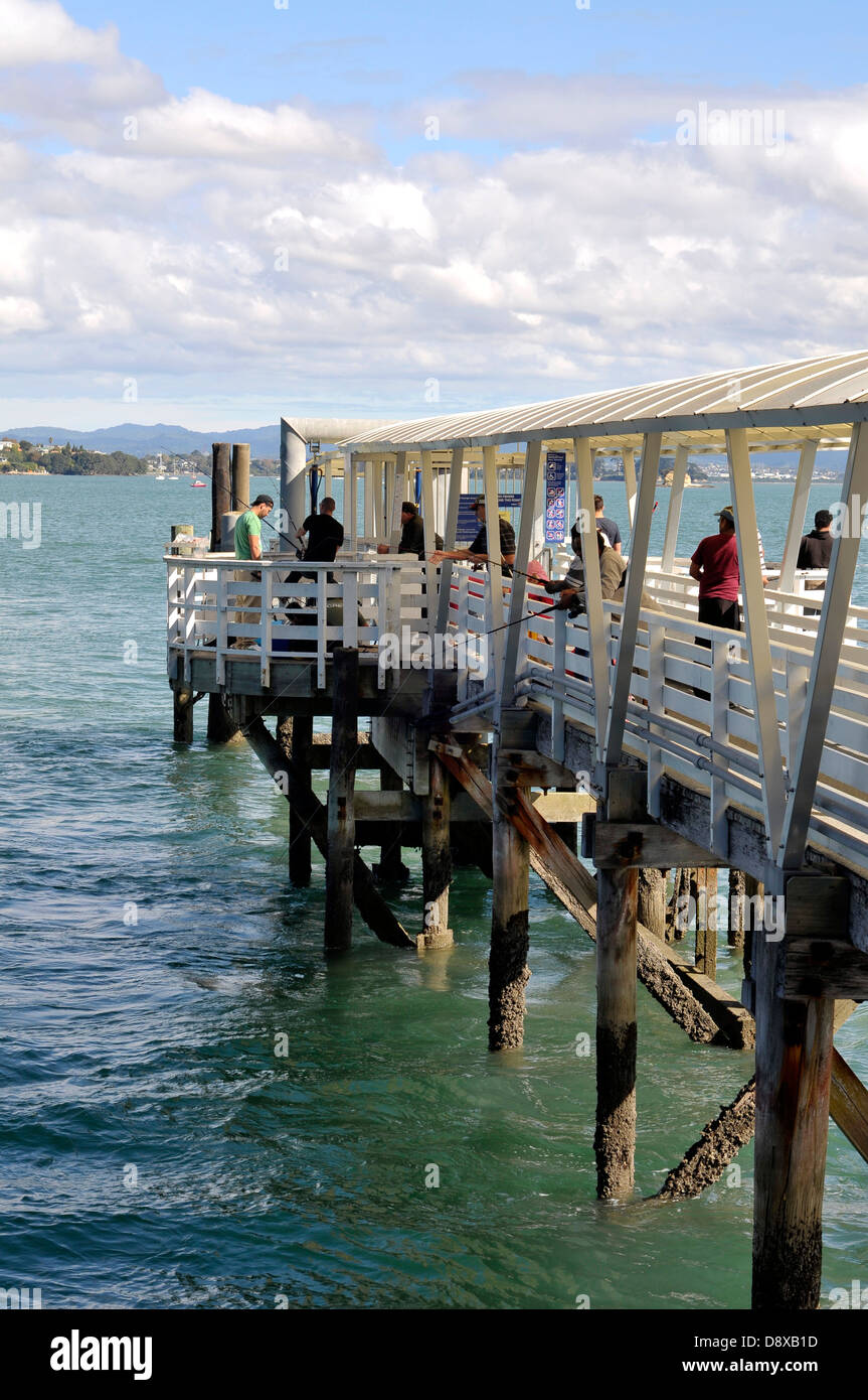 Anglers fish jetty pier railing northcote auckland new zealand hires