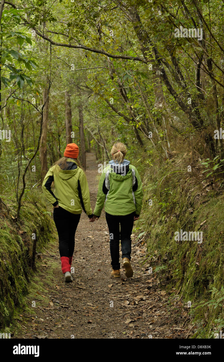 Two young women holding each others hand walking in forest Stock Photo ...