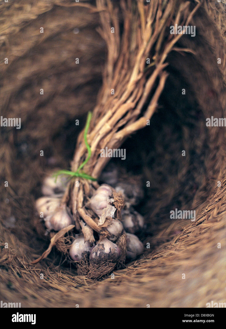 Garlic in a basket Stock Photo - Alamy