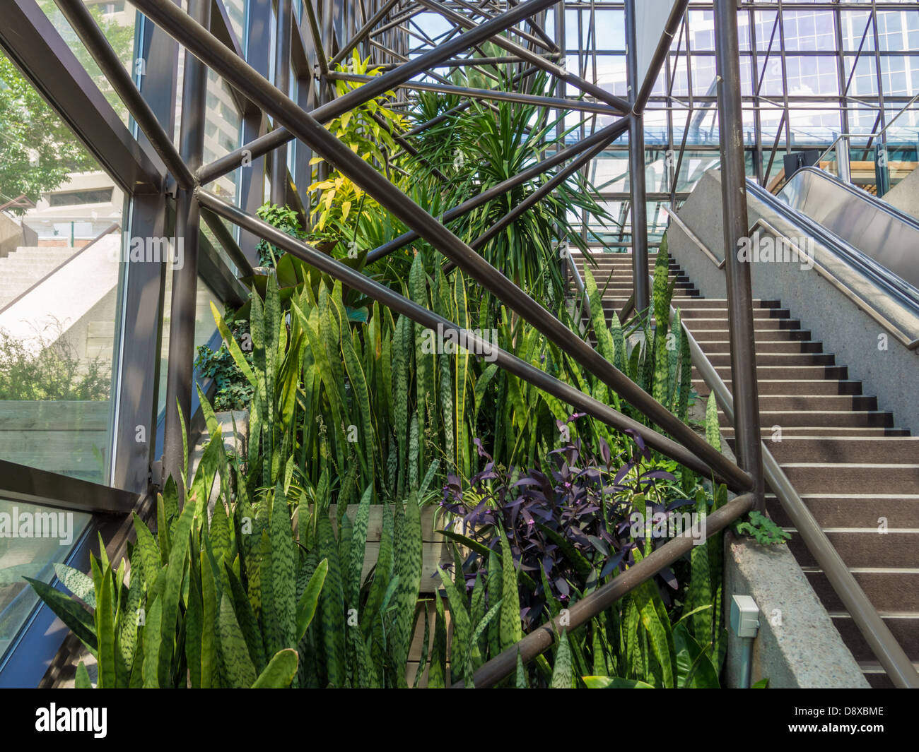plants growing indoors in Shaw conference centre in Edmonton Stock