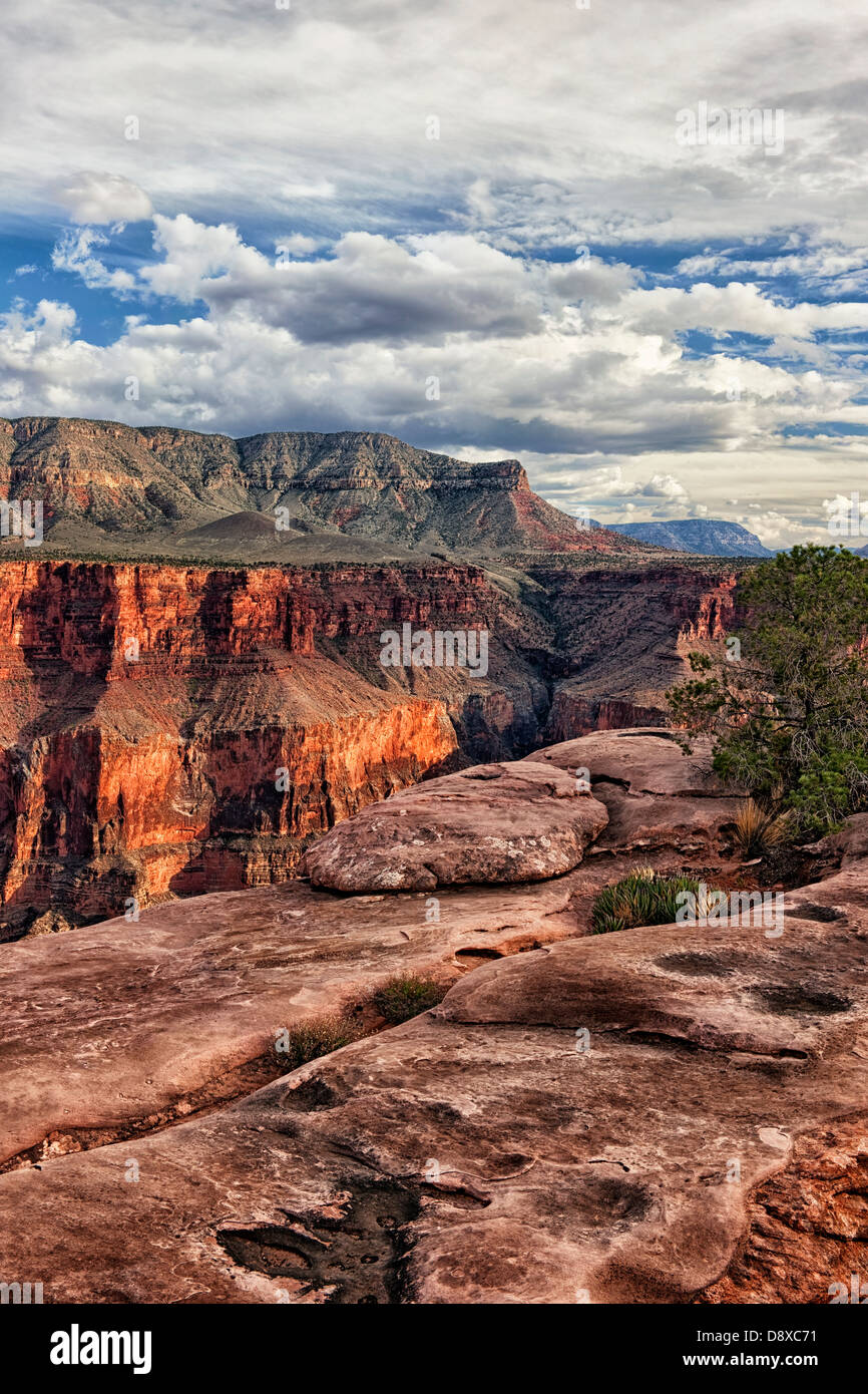 Evening light on the North Rim at remote Toroweap Overlook in Arizona's Grand Canyon National Park. Stock Photo