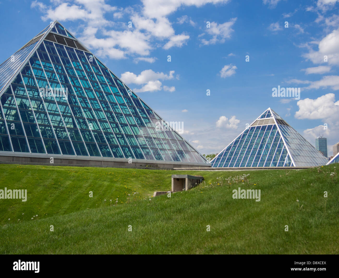 city of Edmonton and the muttart conservatory glass pyramids Stock