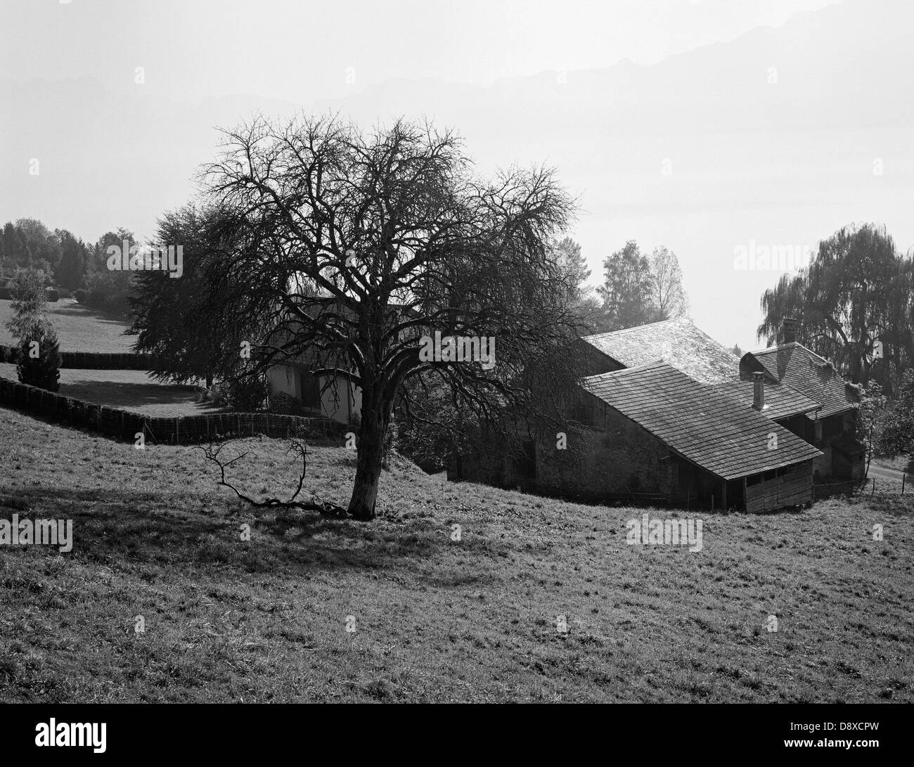 Farm by houses against sky (B&W) Stock Photo