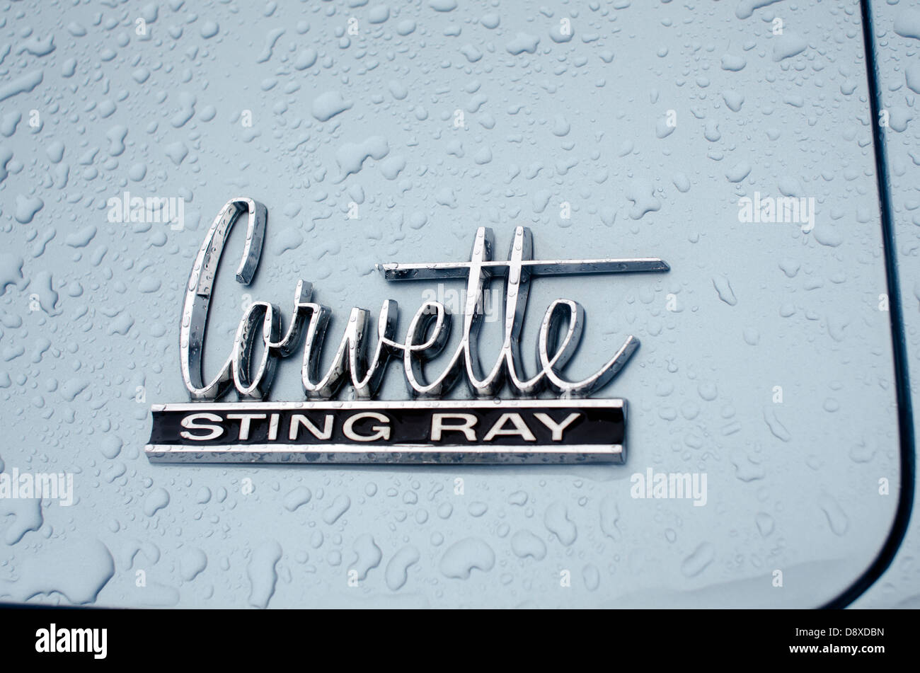 The Logo of  a Chevrolet Corvette with raindrops Stock Photo