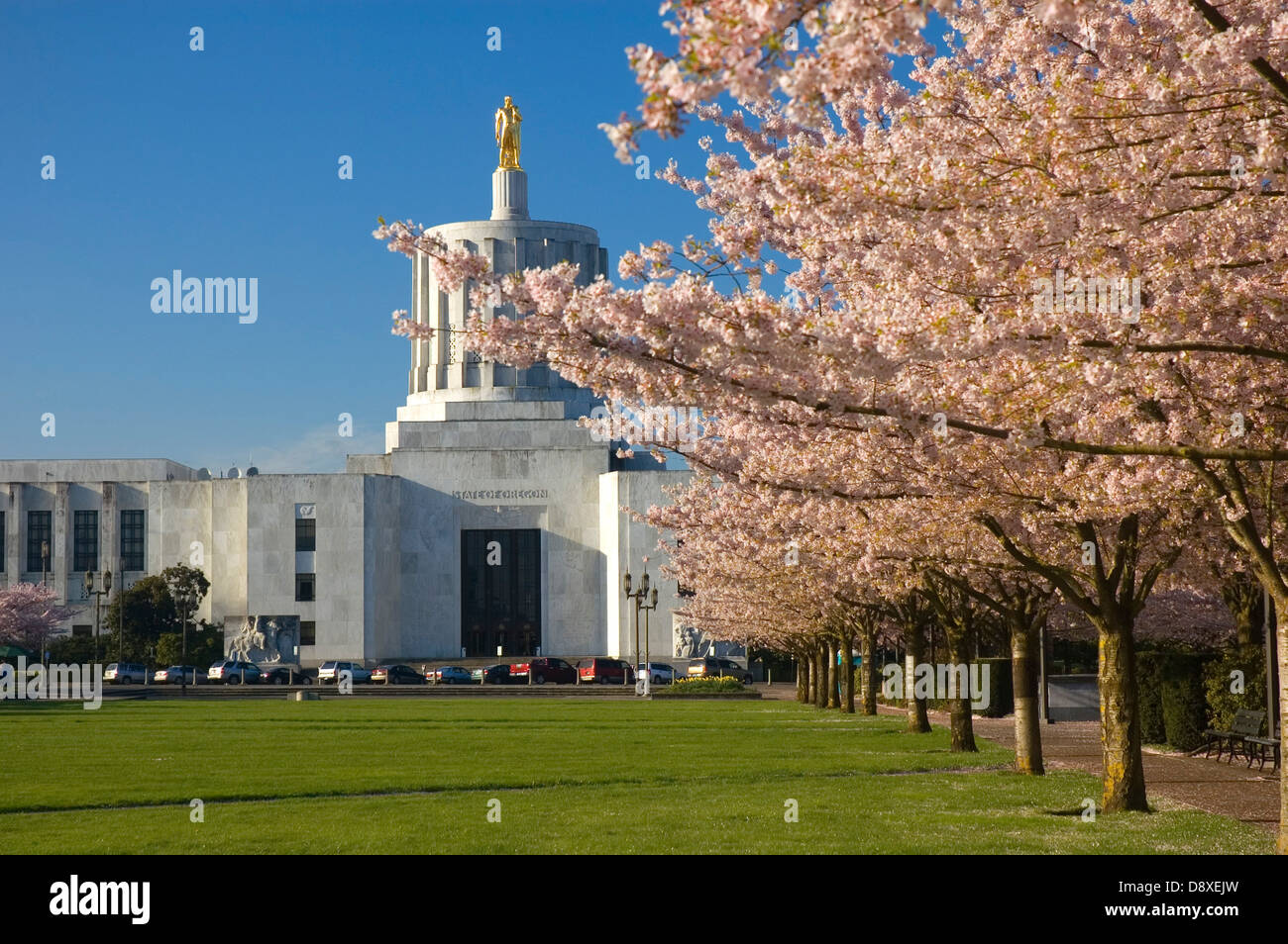 State capitol with cherry trees in bloom, State Capitol State Park, Salem, Oregon Stock Photo