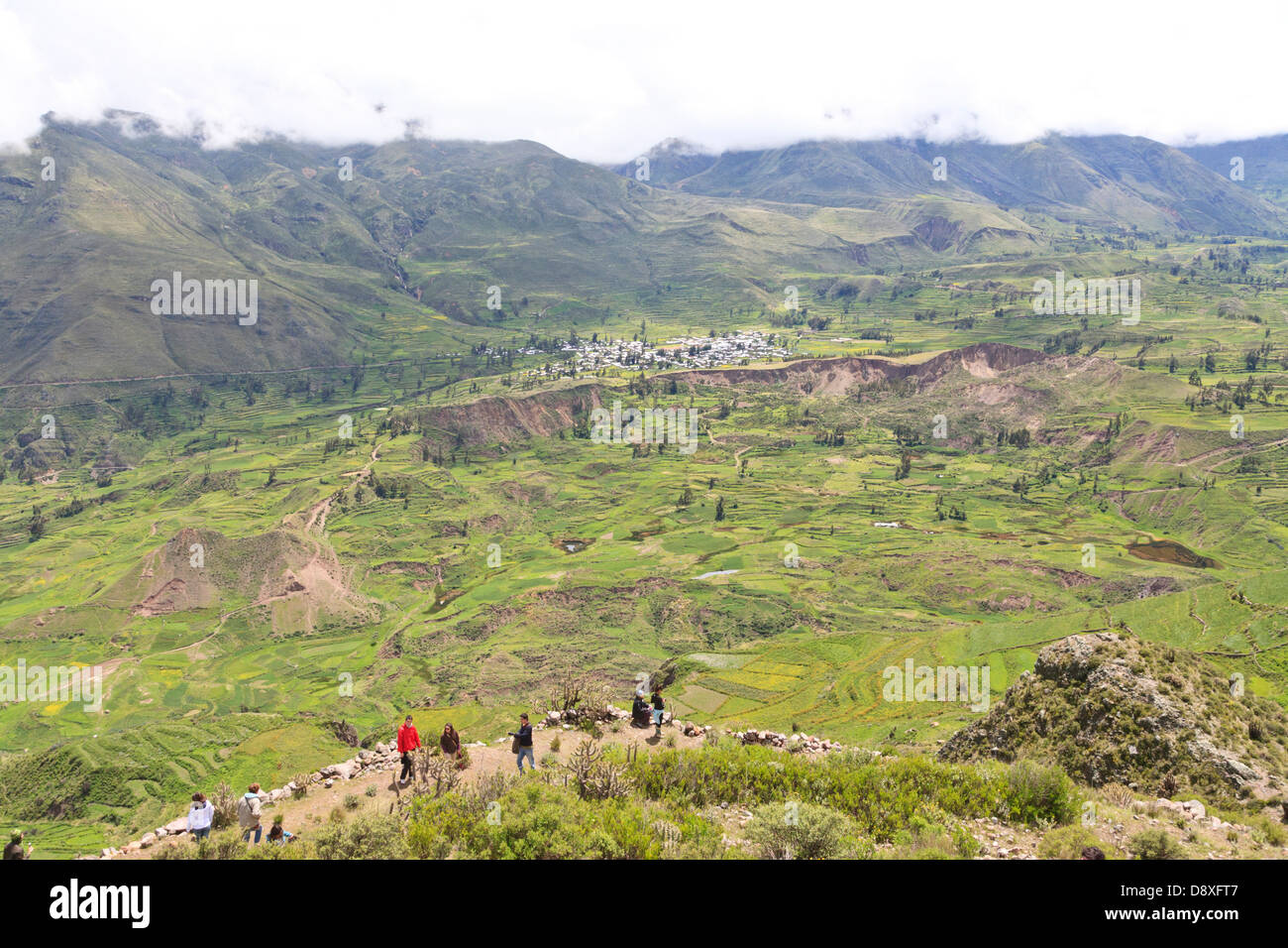 Agricultural terraces, Colca Canyon, Peru Stock Photo