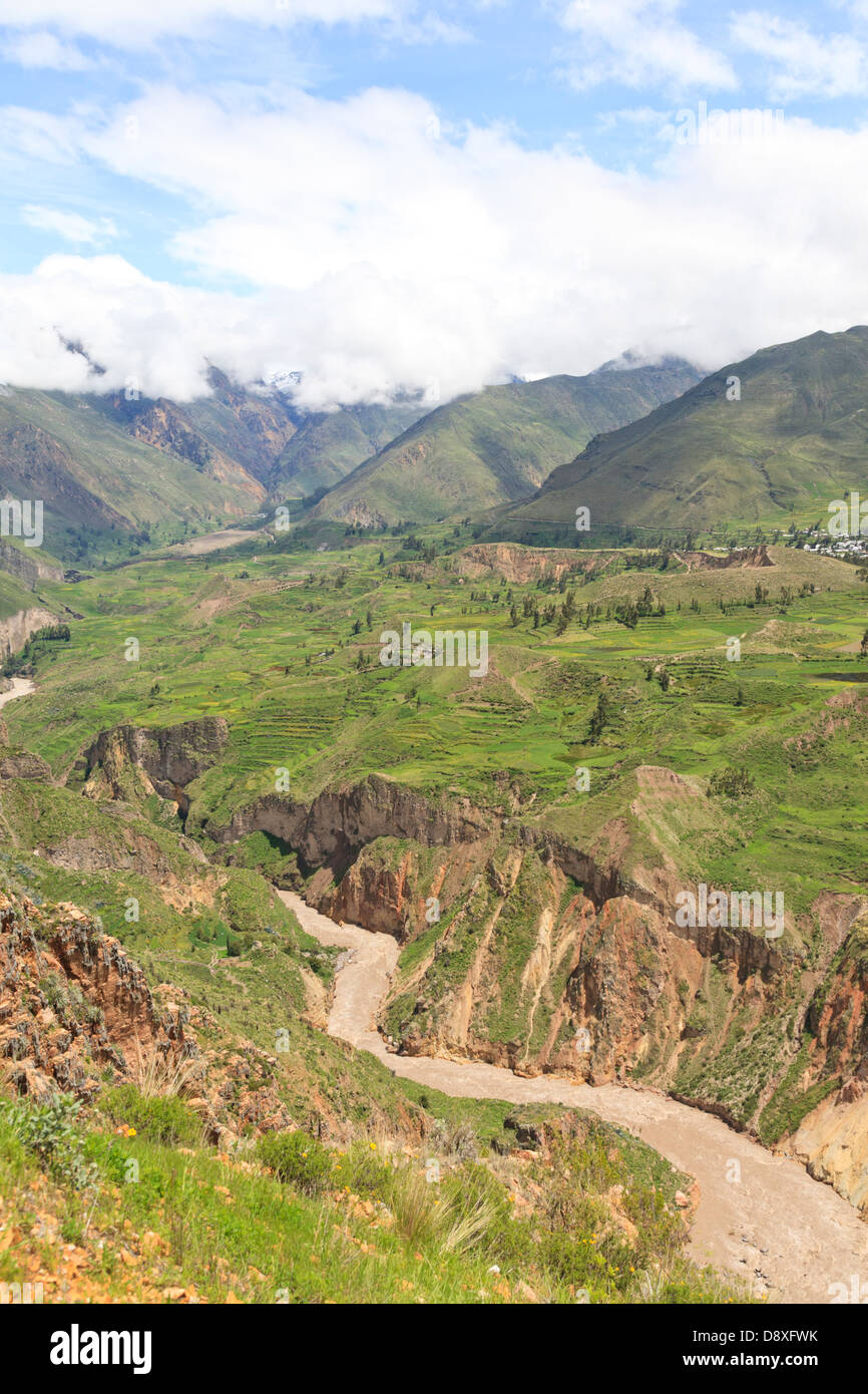 Agricultural terraces, Colca Canyon, Peru Stock Photo