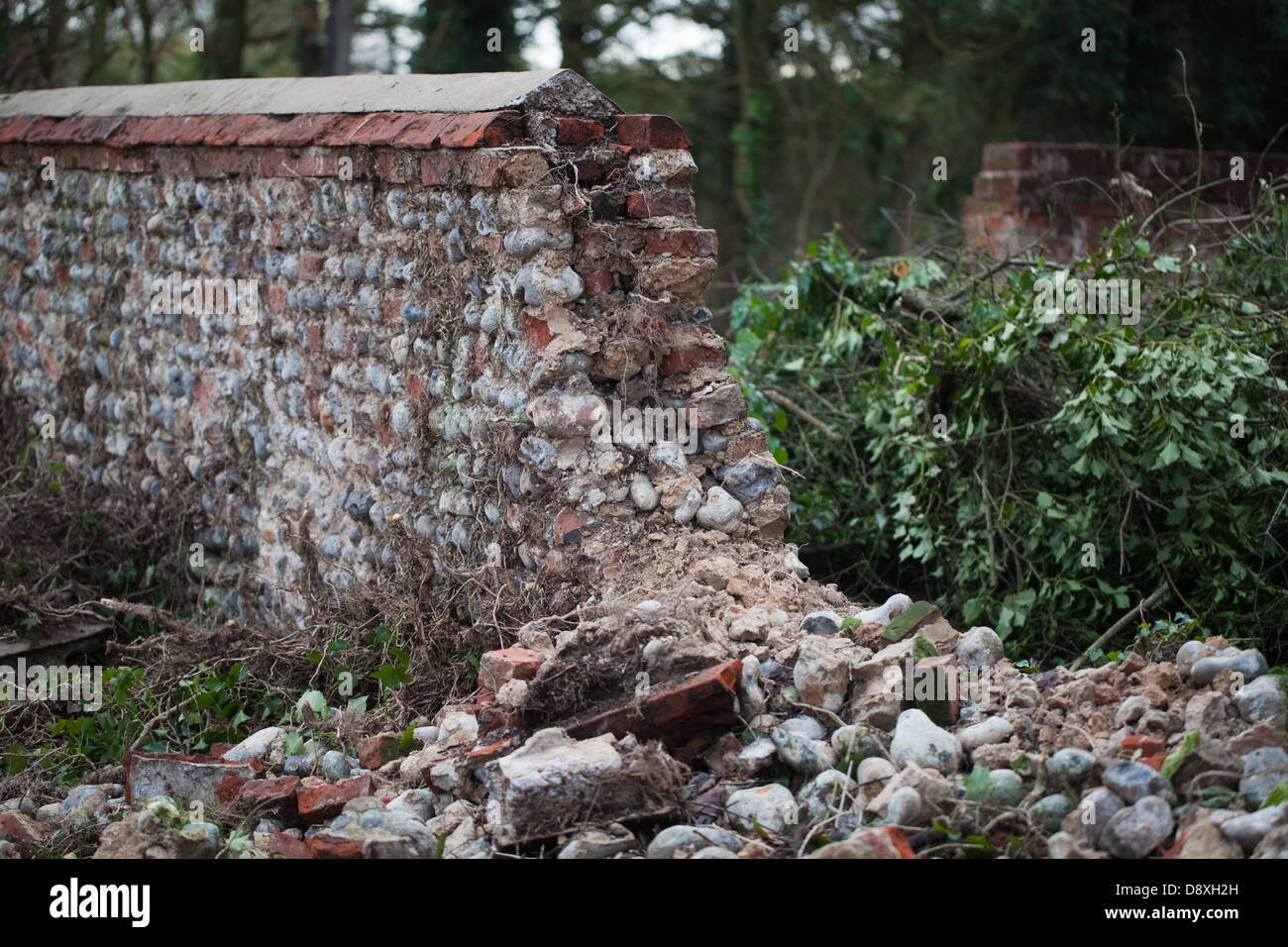Flint sone wall, partially collapsed. Hickling Hall, Hickling , Norfolk. Awaiting repair and re-build. Broadland, Norfolk. Stock Photo