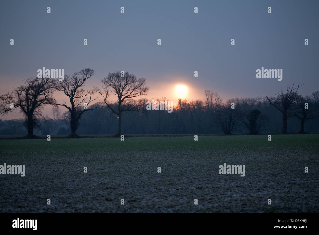 Winter sunset from across arable fields. Hickling. Norfolk. East Anglia. UK. Stock Photo