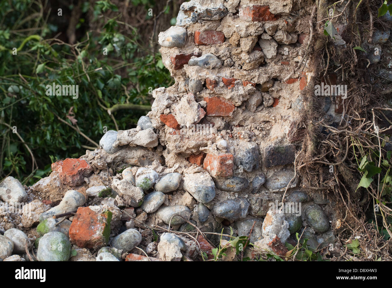 Flint stone wall, partially collapsed. Hickling Hall, Hickling , Norfolk. Awaiting repair and re-build. Broadland, Norfolk. Stock Photo